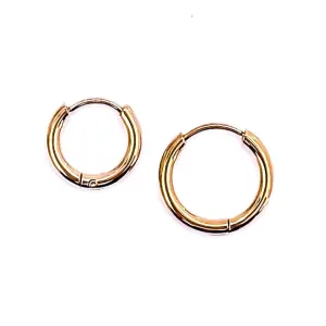 🎁 Eleanora Everyday Hoops (100% off)