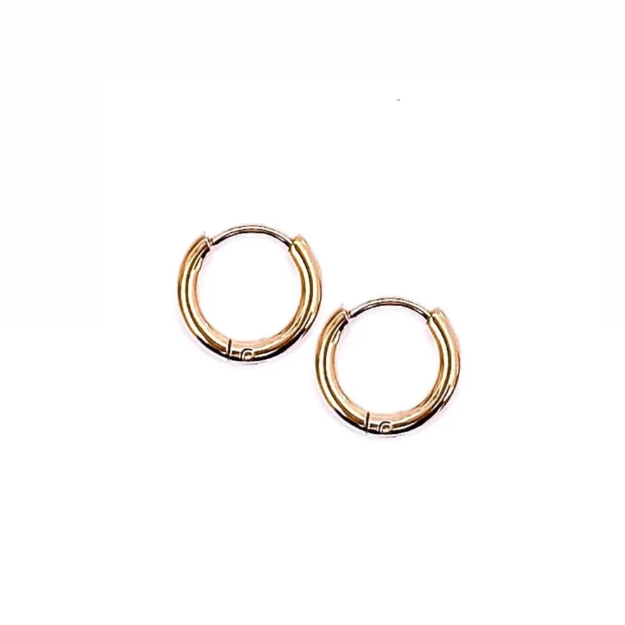 🎁 Eleanora Everyday Hoops (100% off)