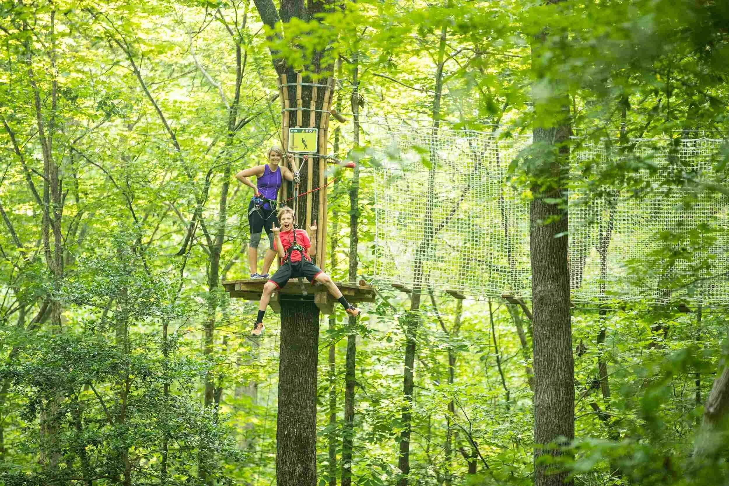 Arlington Zipline and Treetop Adventure with Go Ape