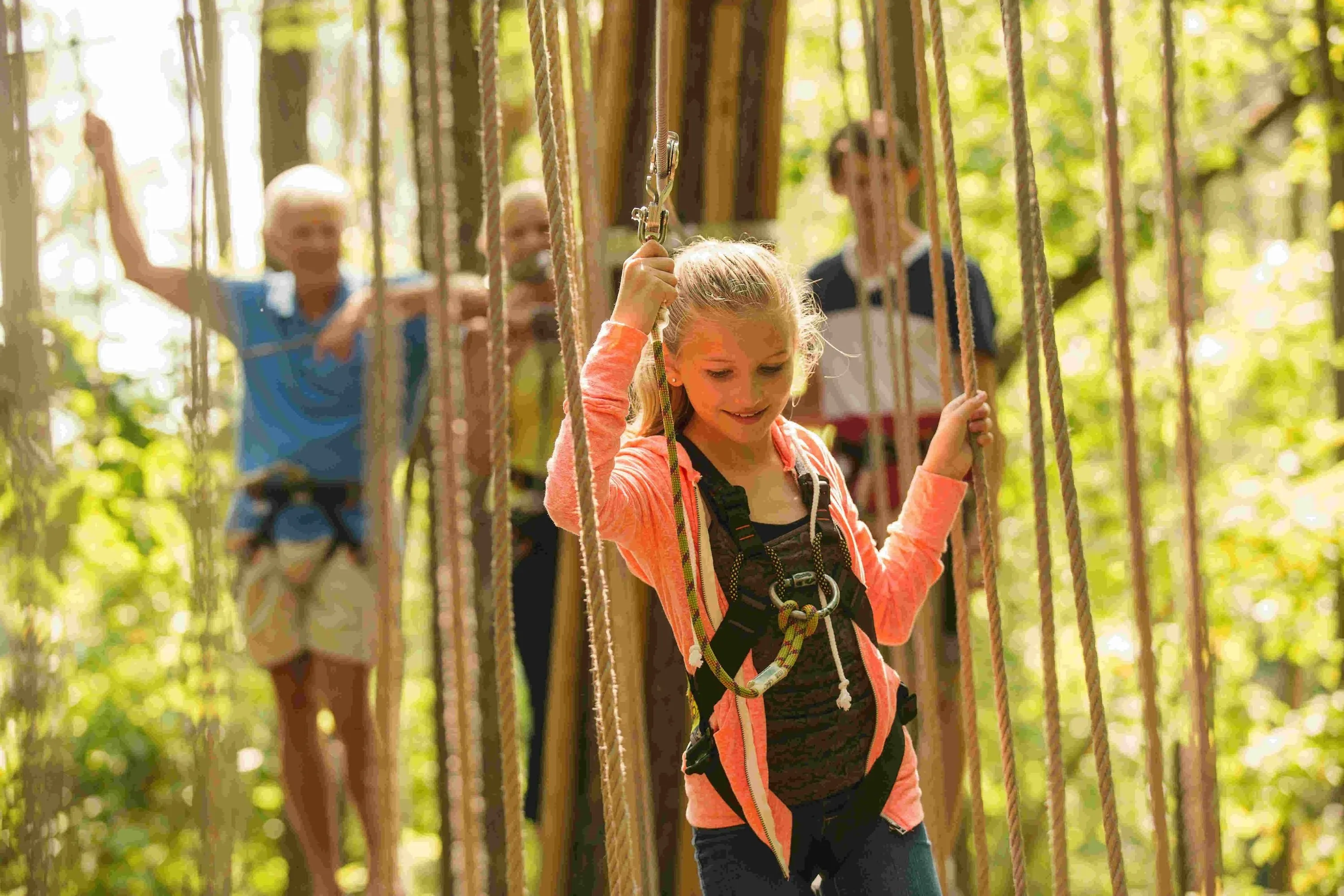 Arlington Zipline and Treetop Adventure with Go Ape