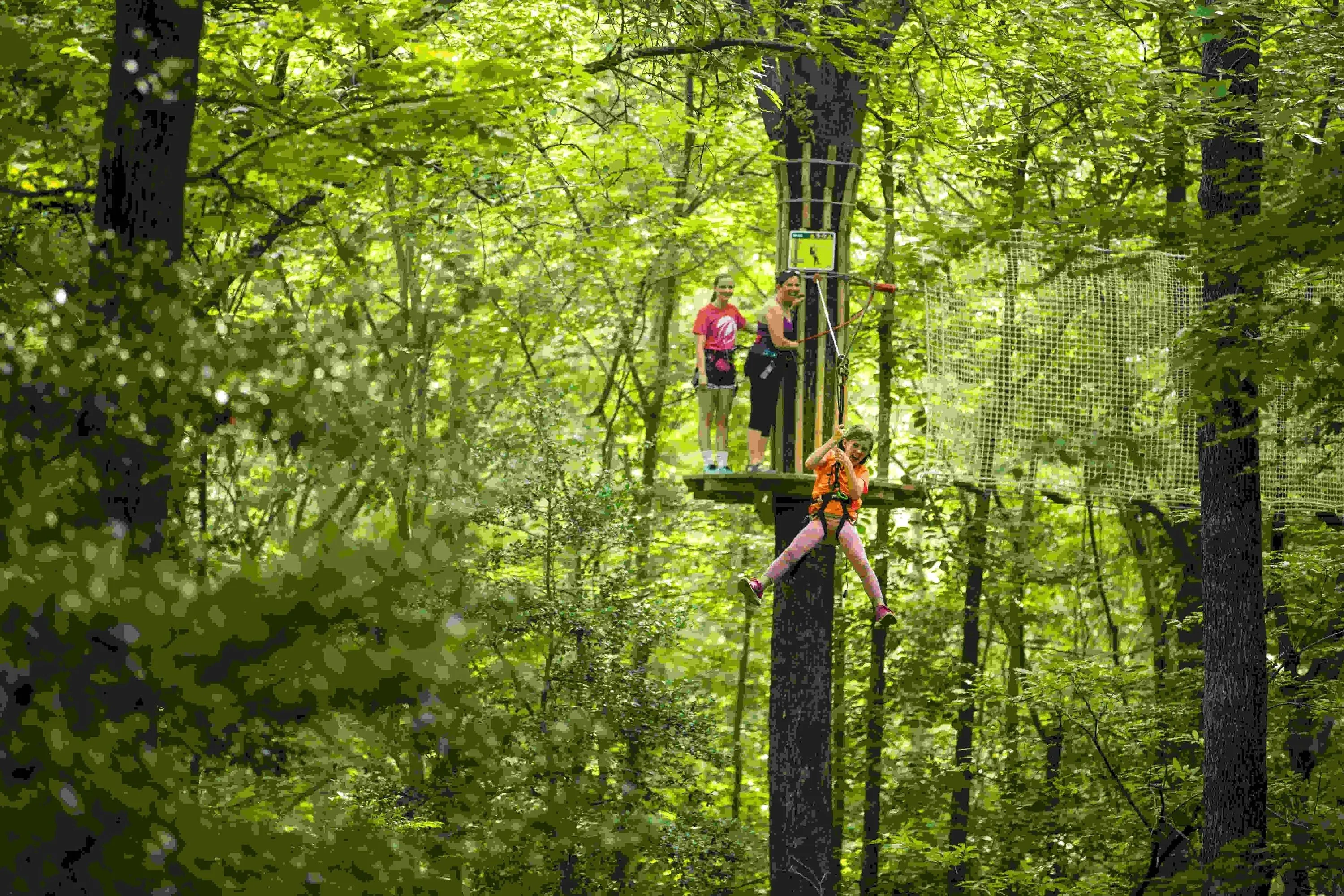 Arlington Zipline and Treetop Adventure with Go Ape