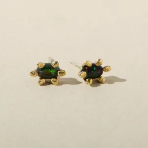 Aster Earrings with Black Opal