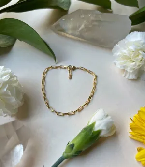 Box Chain Bracelet