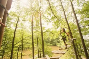 Chicago Zipline and Treetop Adventure with Go Ape
