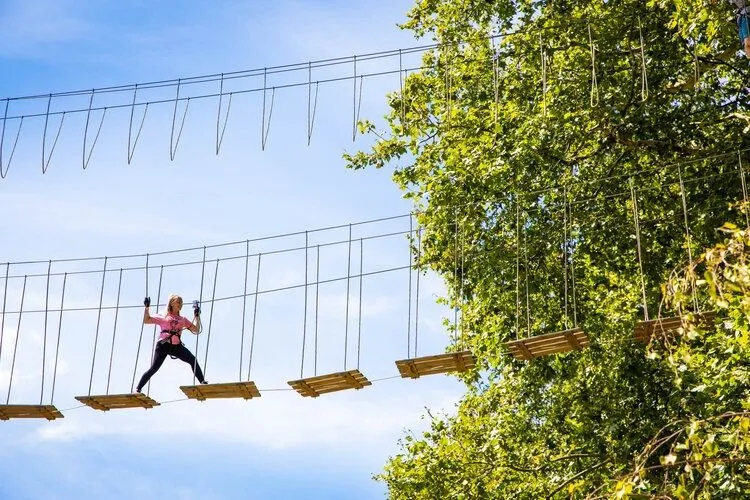Chicago Zipline and Treetop Adventure with Go Ape