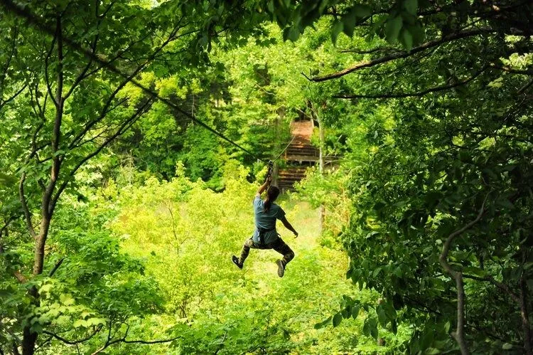 Chicago Zipline and Treetop Adventure with Go Ape