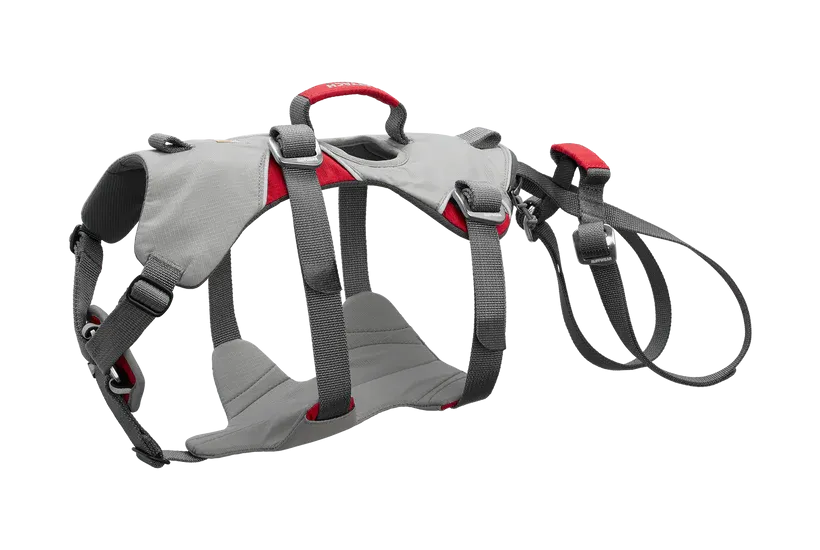 Doubleback Harness
