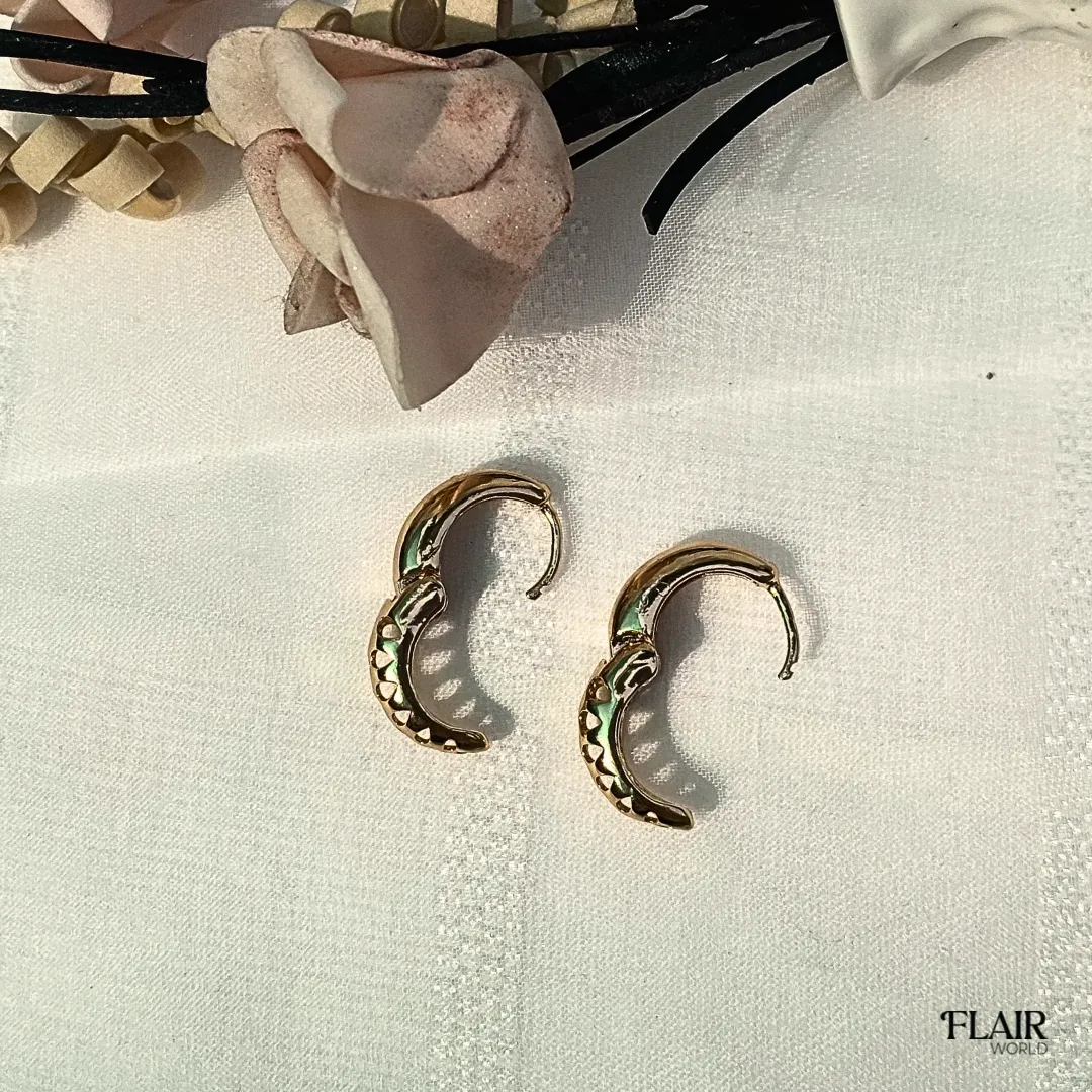 Fancy Solid Gold Hoops