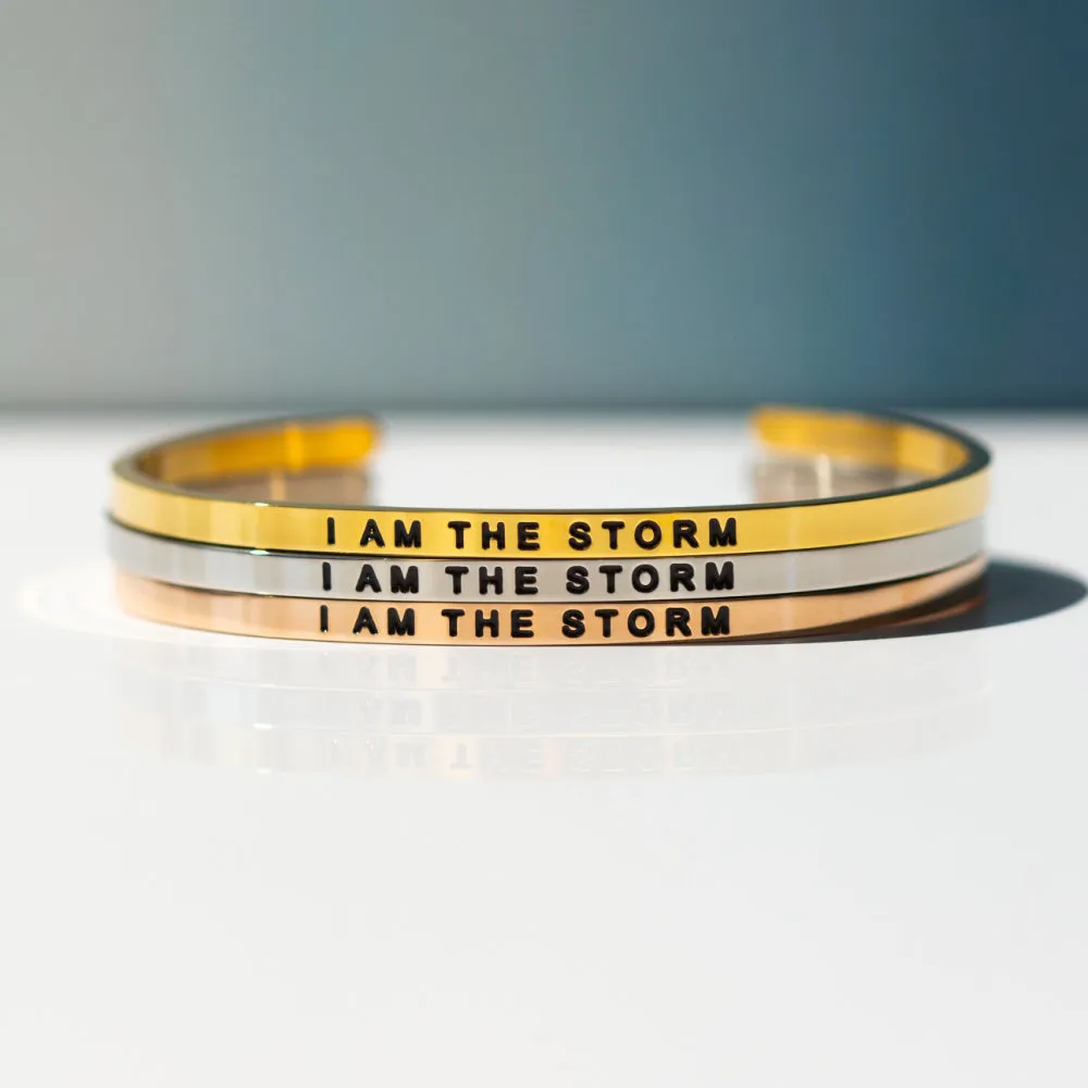 I Am The Storm