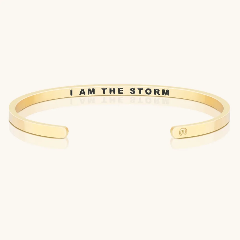 I Am The Storm