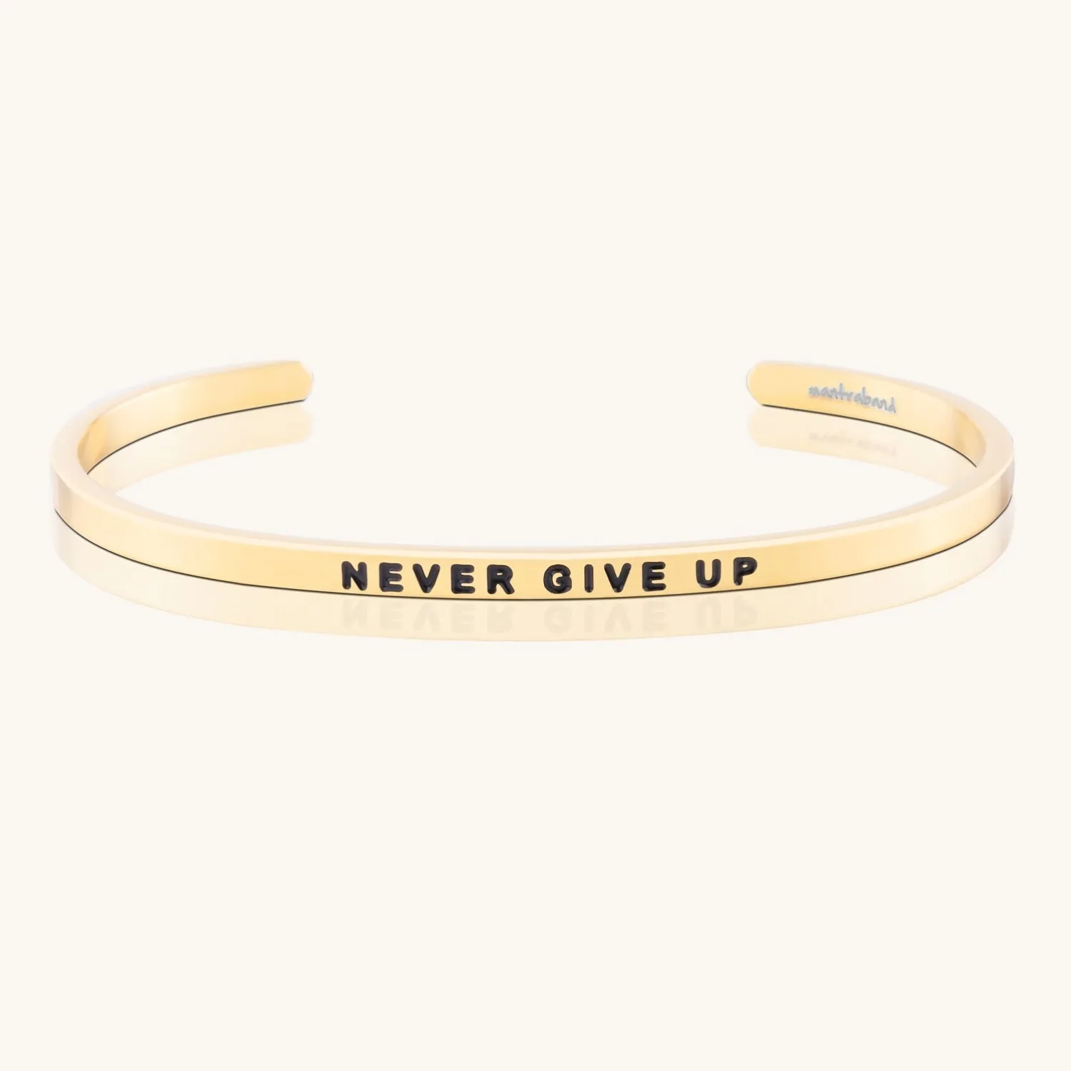 Never Give Up