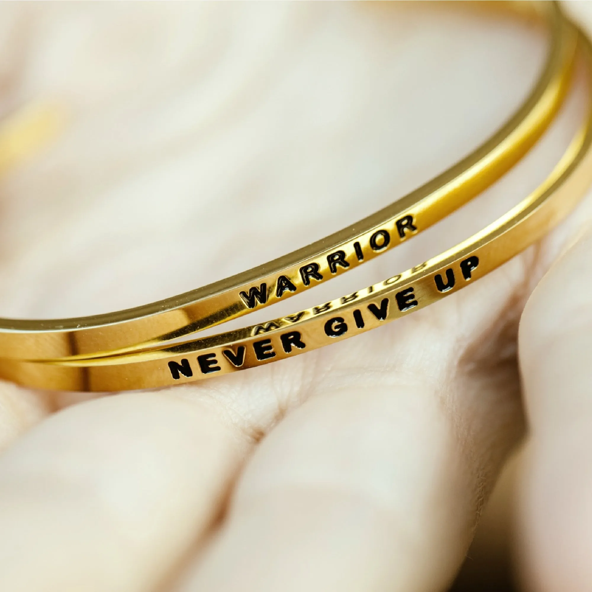 Never Give Up