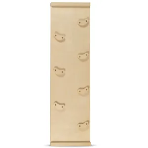 Pikler Rock Climbing Wall Slide