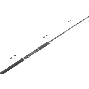 Pioneer Argonaut 6ft6 2pc 4-6kg Spin Rod