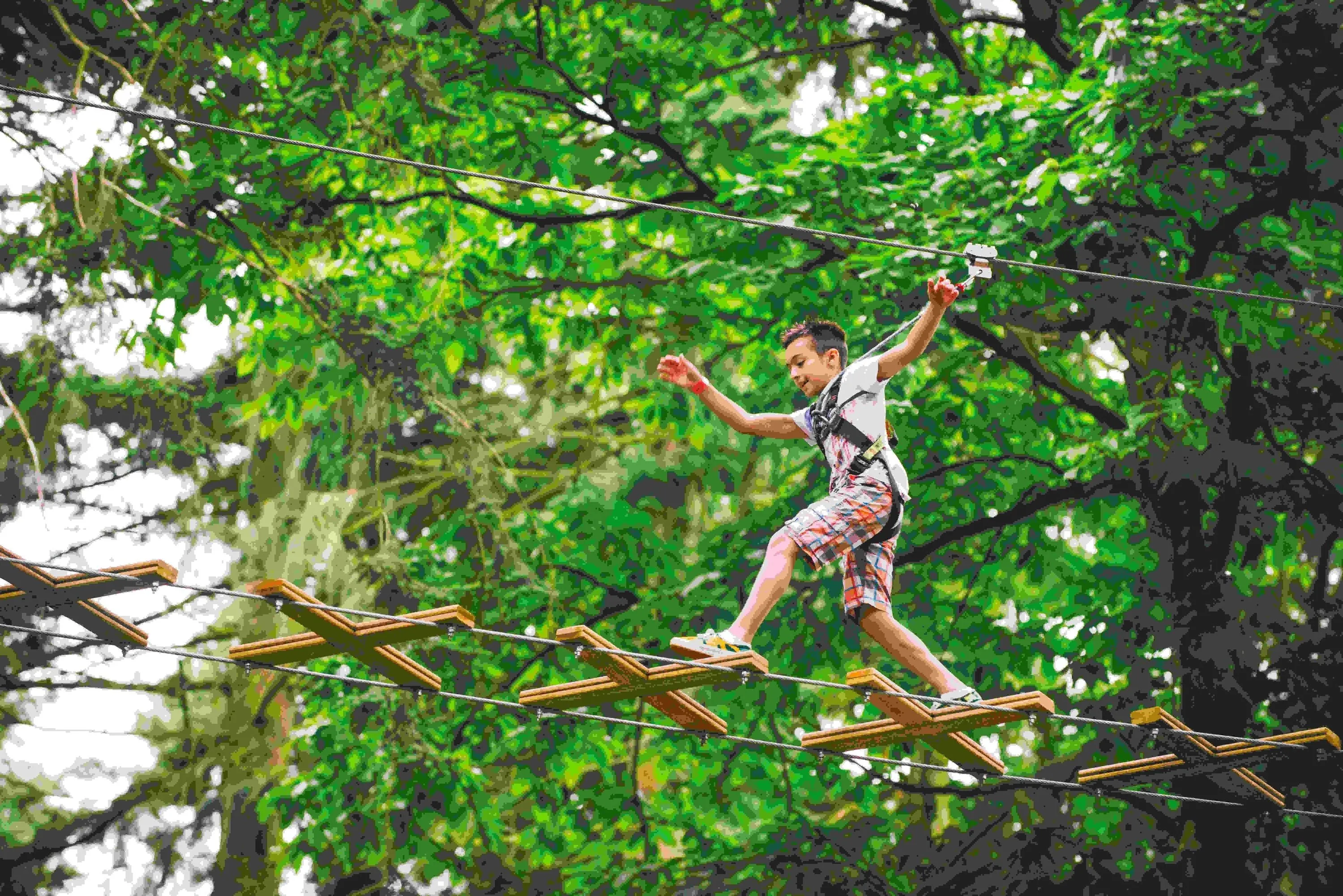 Raleigh-Durham Kids Treetop Journey with Go Ape