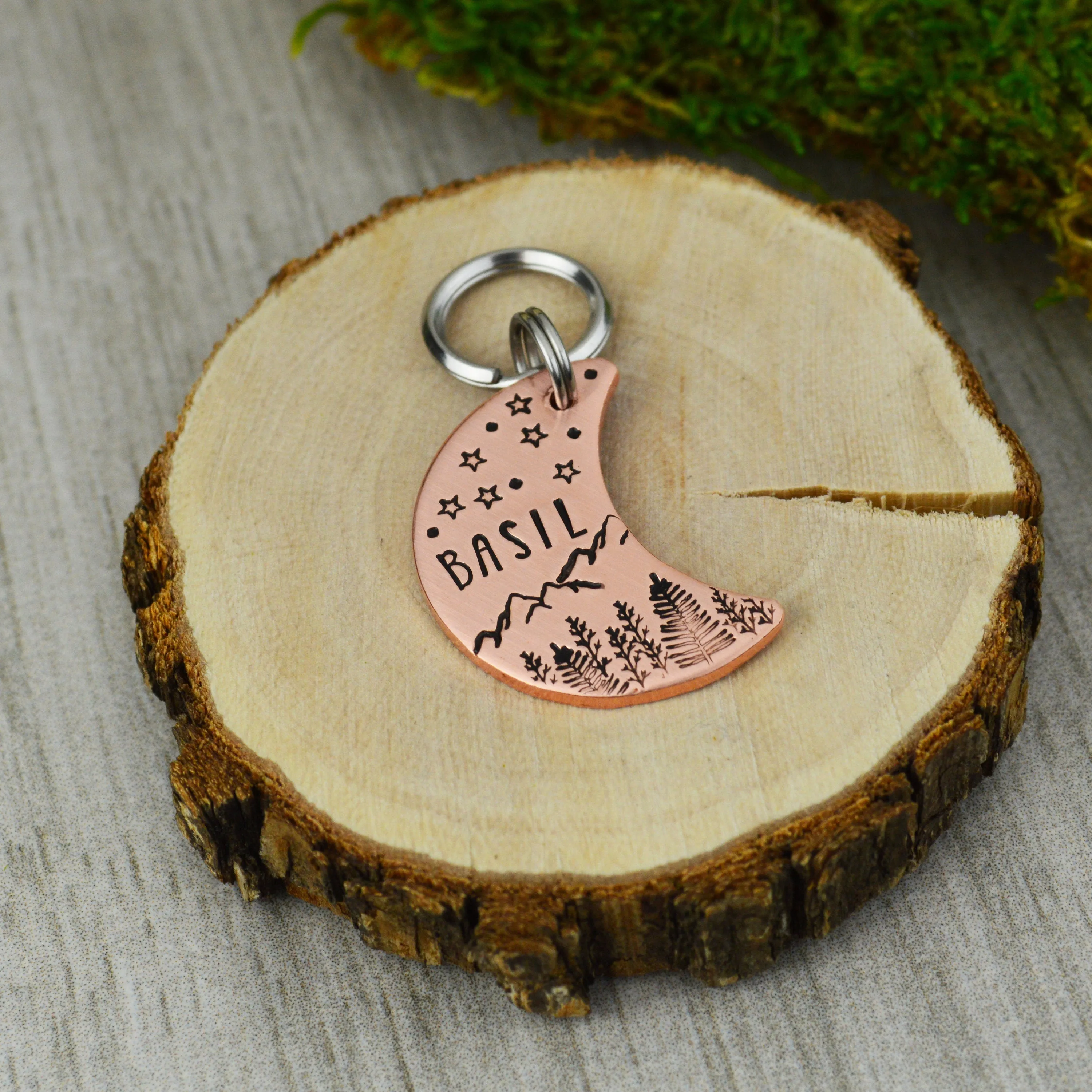 Range Under the Stars Pet ID Tag