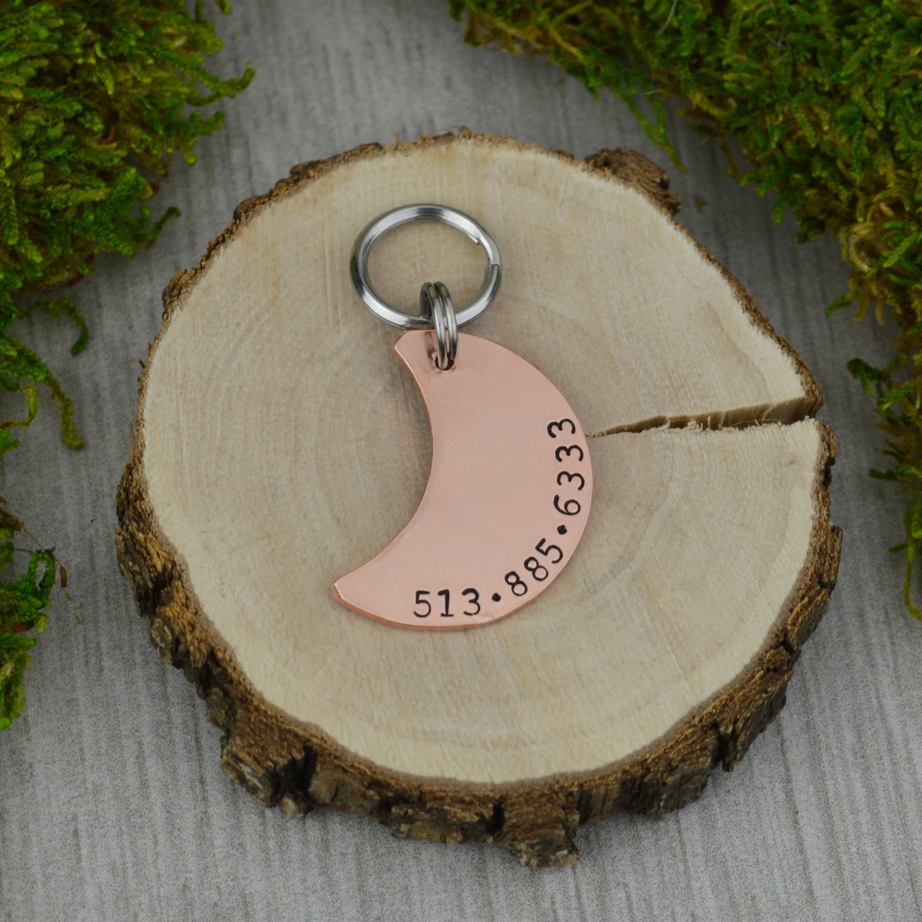 Range Under the Stars Pet ID Tag
