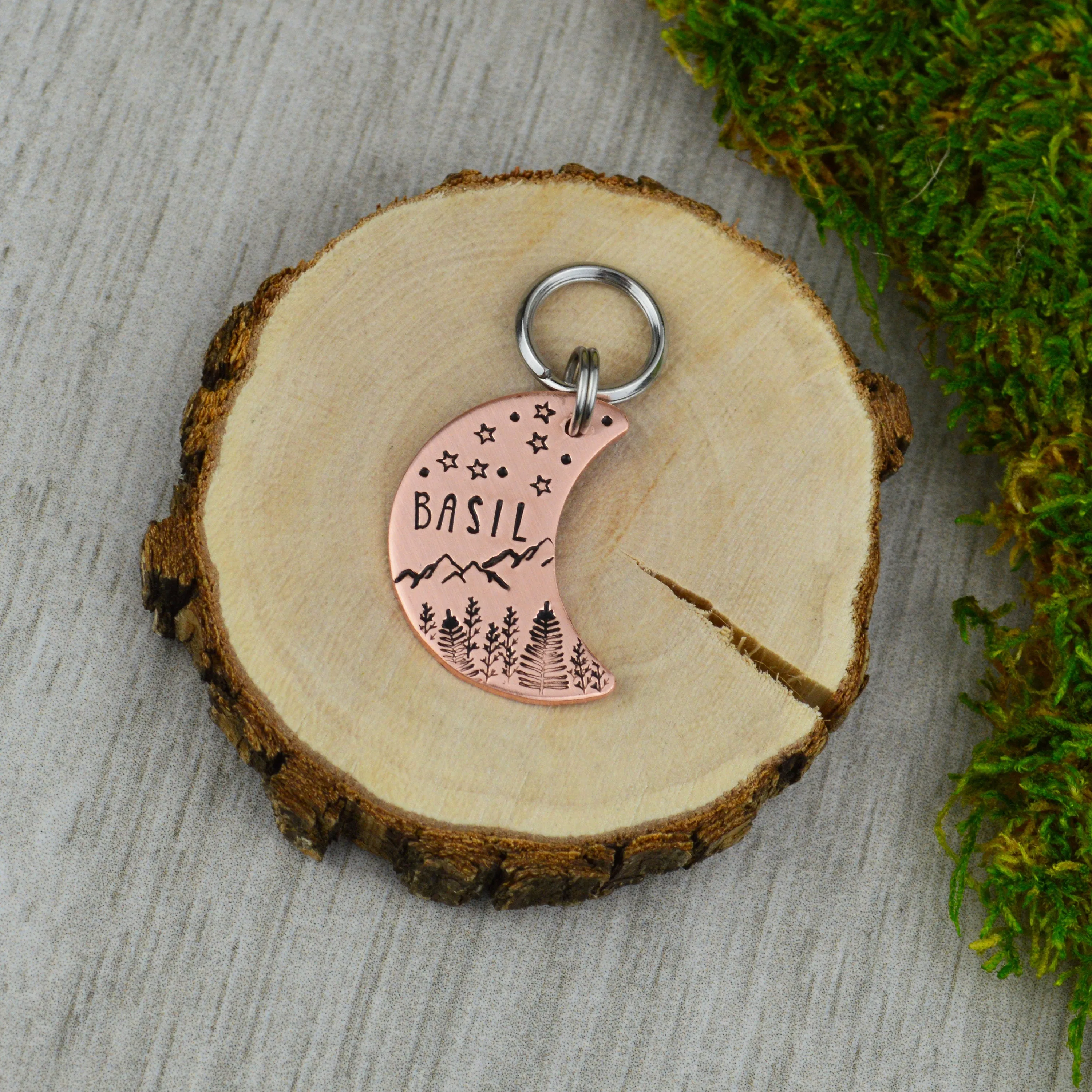 Range Under the Stars Pet ID Tag