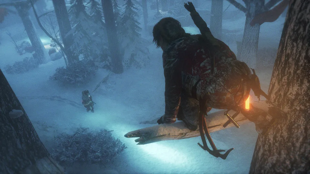 Rise of the Tomb Raider (PC/MAC/LINUX)