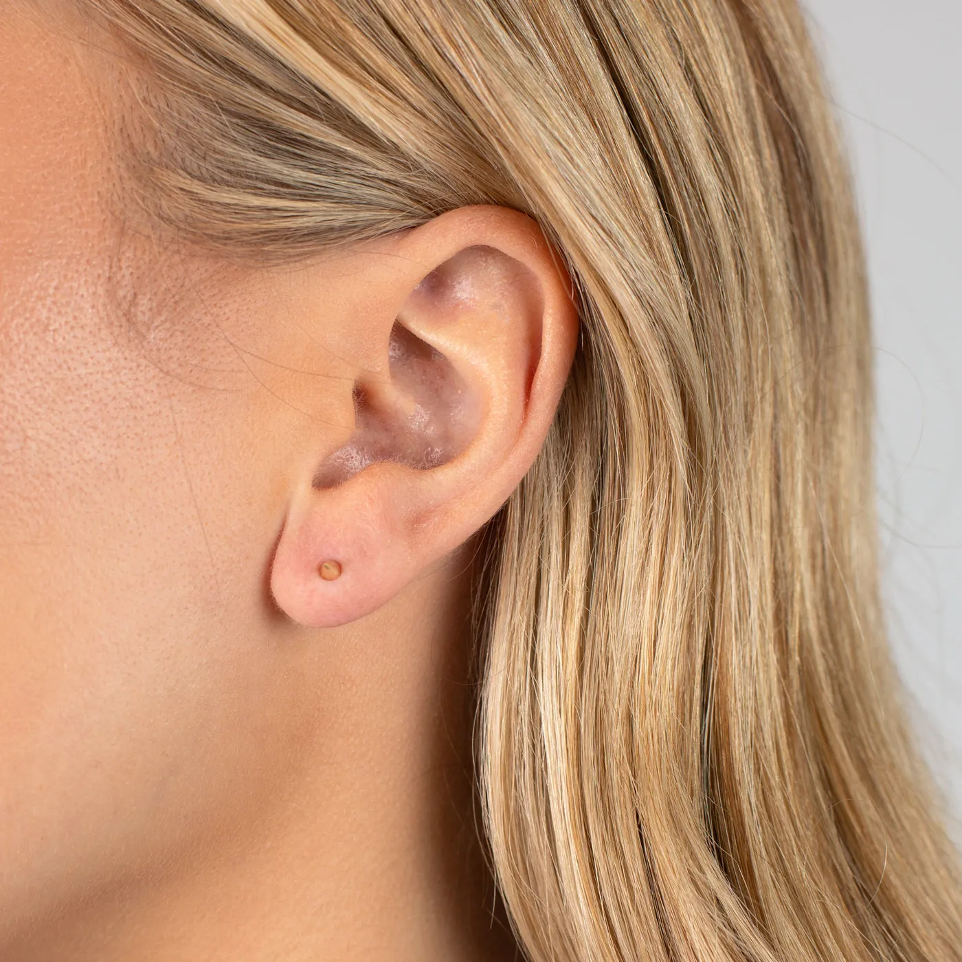 Solid Spike Threaded Stud Earring 14K
