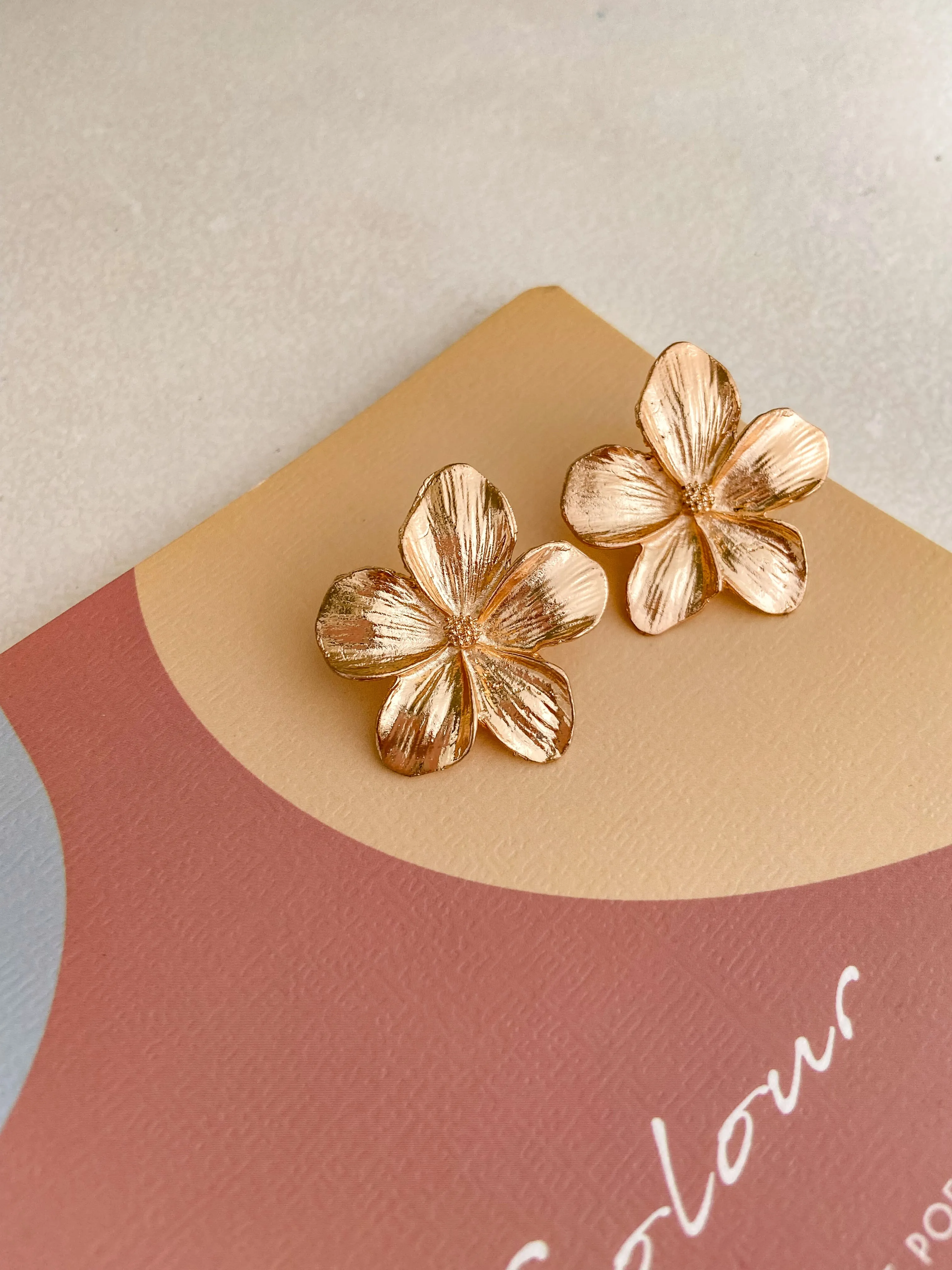 Weekly Wear 6 Earring Hamper