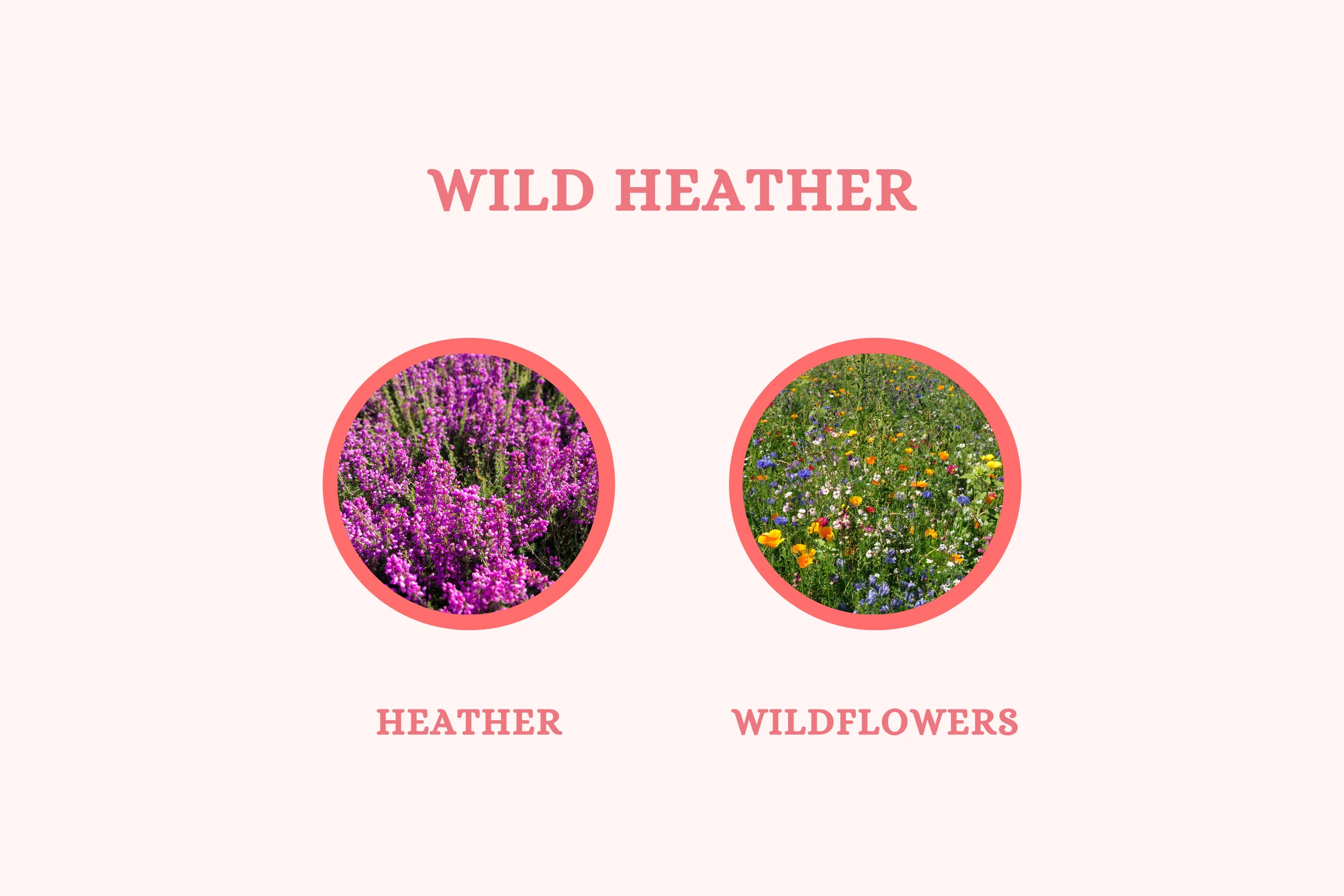 Wild Heather - Reed Diffuser