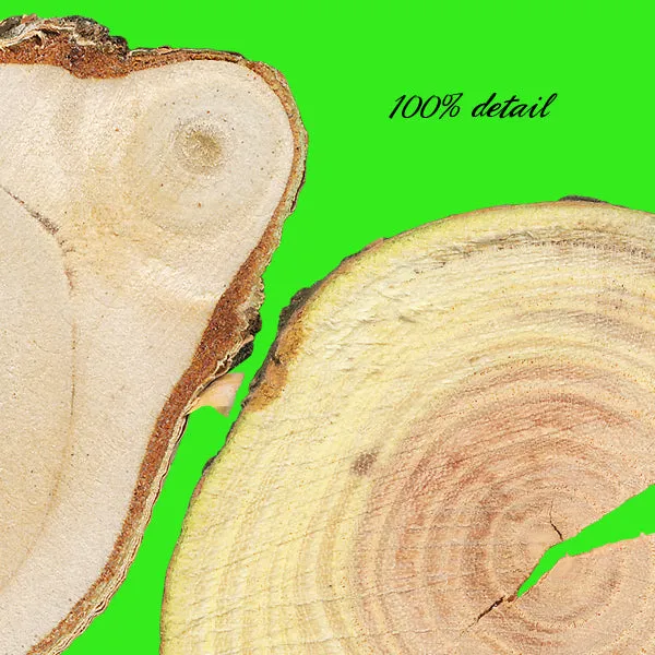 Wood Slices, Volume 02
