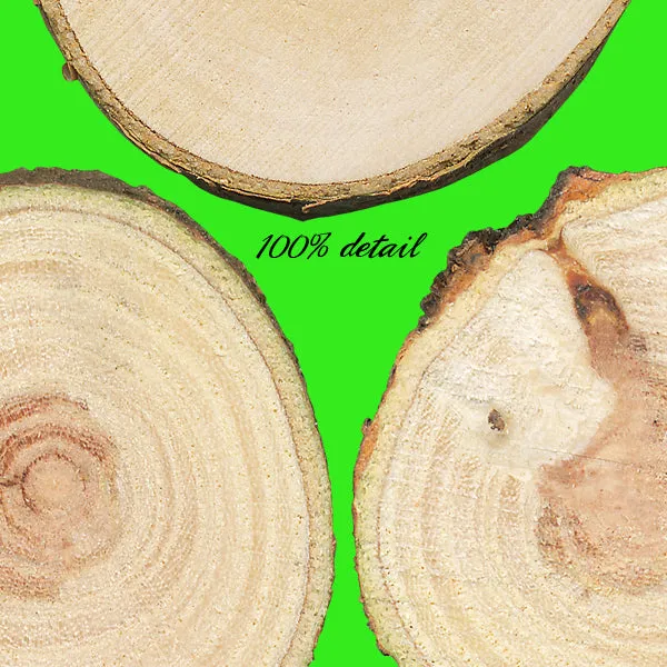 Wood Slices, Volume 02