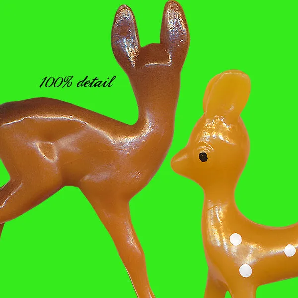 Woodland Friends