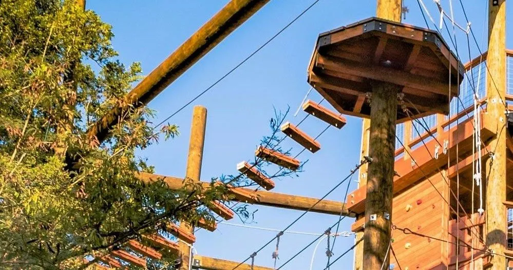 Zipline & Adventure Tower Package